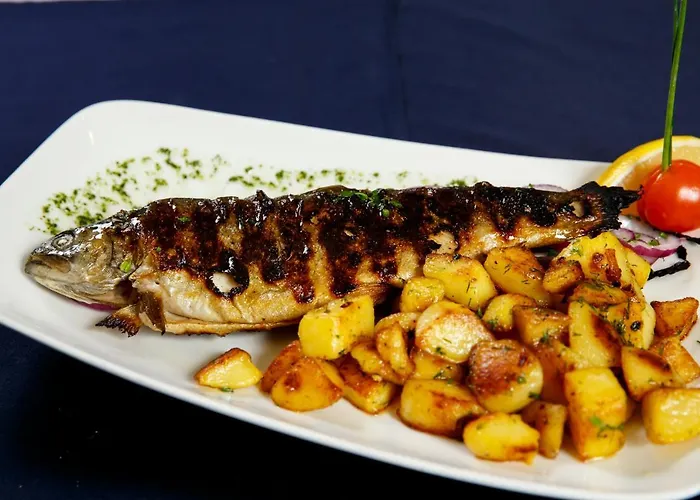 Terra Здравен курорт Банско