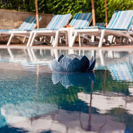 Semesteranläggning (resort) Terra 4*